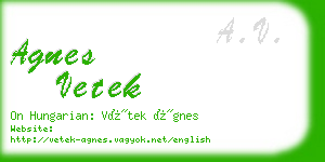 agnes vetek business card